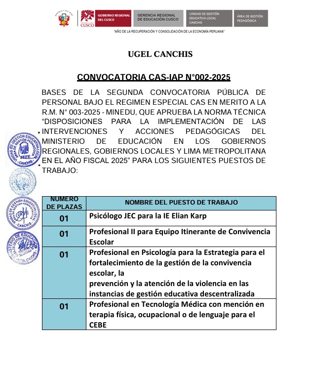 Convocatoria CAS-IAP N°002-2025